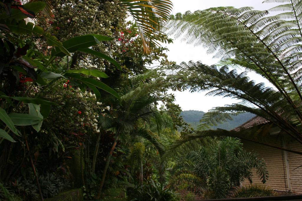Puri Alam Bali Ξενοδοχείο Munduk Εξωτερικό φωτογραφία